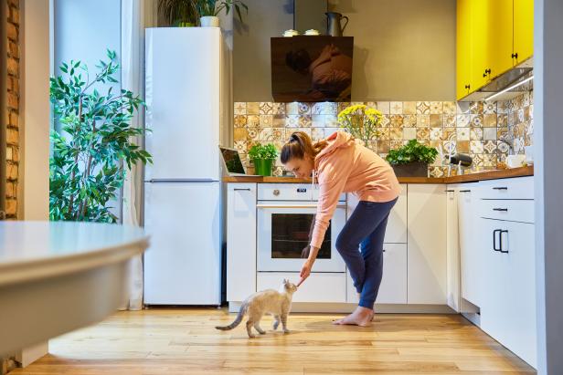 Woman training cat with treats in kitchen.
