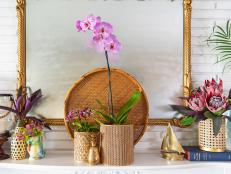 Your houseplants need a vacation — and with this easy upcycle you can turn kitchen castoffs into pretty pots that bring a taste of the tropics to any room of your home.