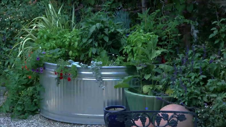 Container gardening remains on trend for offering anyone whether suburbanite or city dweller the opportunity to grow in any size space.
