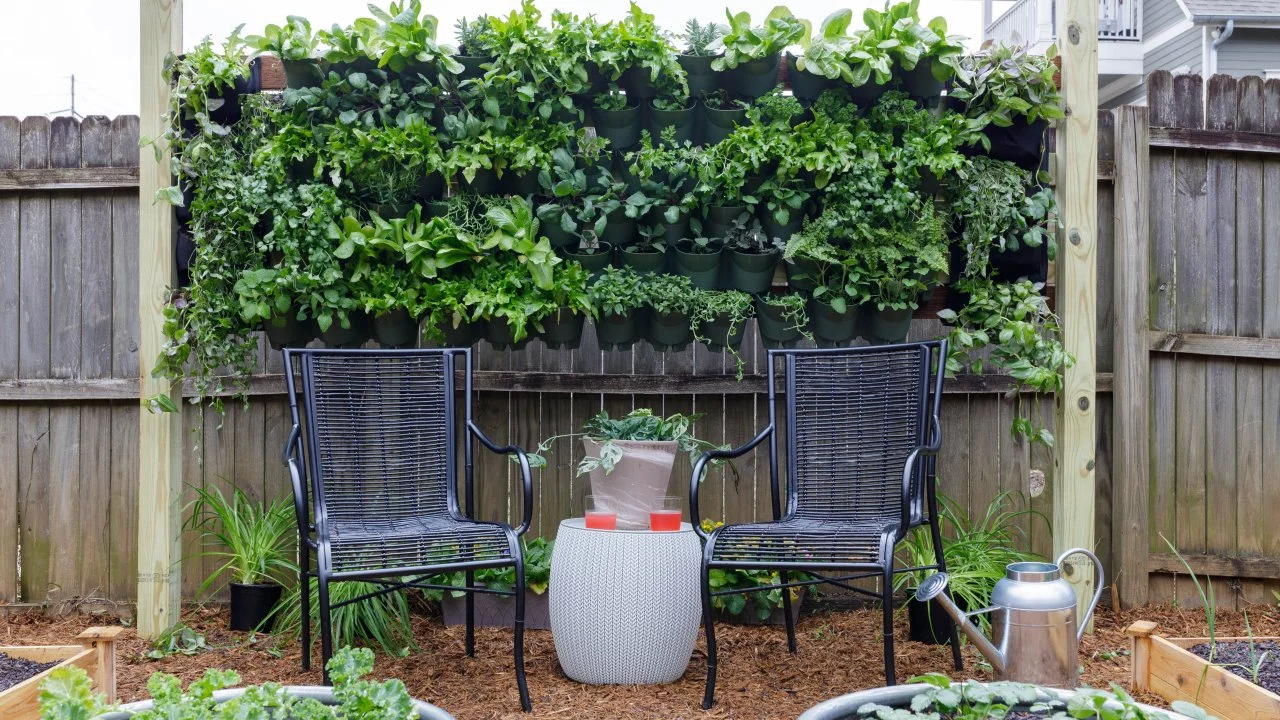 How to Build an Outdoor Living Wall HGTV