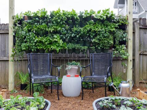 How to Build an Outdoor Living Wall
