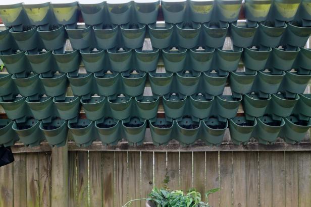 Fence covered in mounted plant cups. 