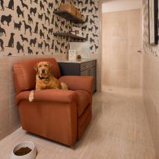 Dog's Room With Orange Chair