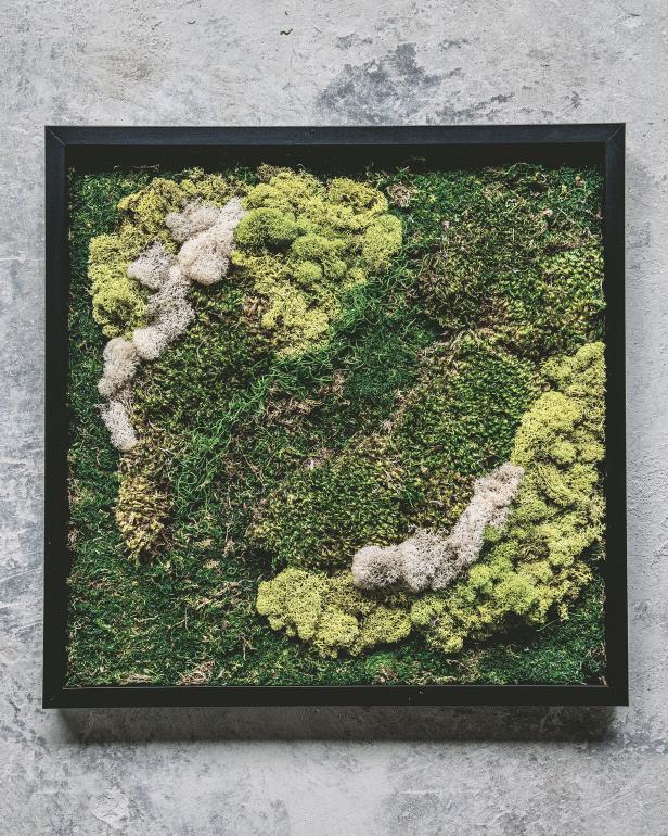 Attach the hanging wire or picture hangers to the back and your moss art is ready to be displayed. Enjoy!