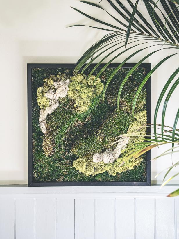 Green, yellow and white moss in a black frame