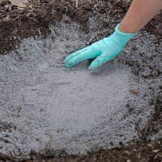 Placing Paver Paste Onto Soil 