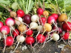 Plan on growing radishes in spring and fall. Slice them into salads for a peppery punch, roast them to caramelize their flavors or eat them with salt, butter and a fresh baguette for a delicious snack.