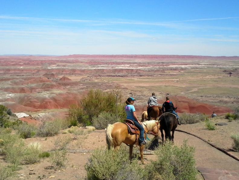 Horseback Riding in Petrified Forest National Park