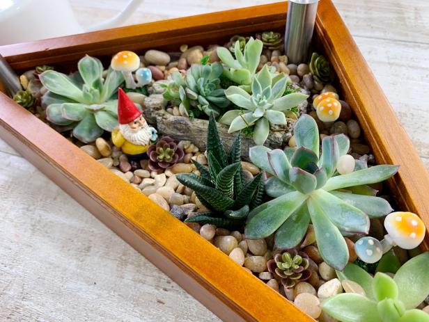 Bring the outside in by creating a charming mini garden, as seen on HGTV.com.