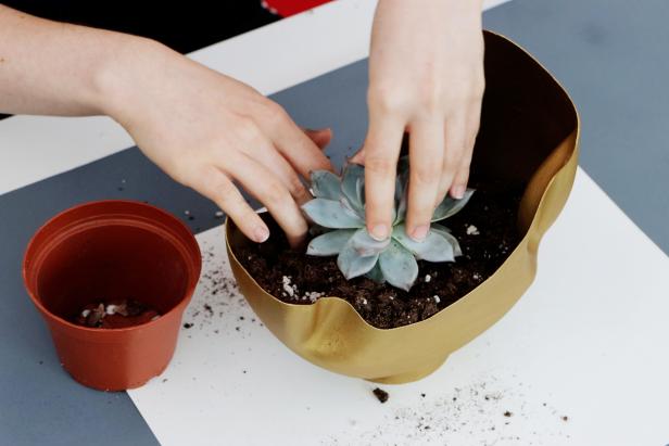 Weigh down the bottom of the planter with rocks so it doesn’t tip over. Then add your plant and you’re finished.