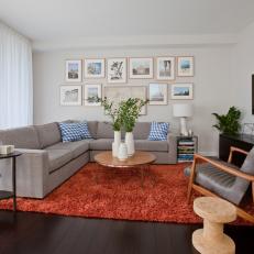 Neutral Transitional Living Room With Orange Rug