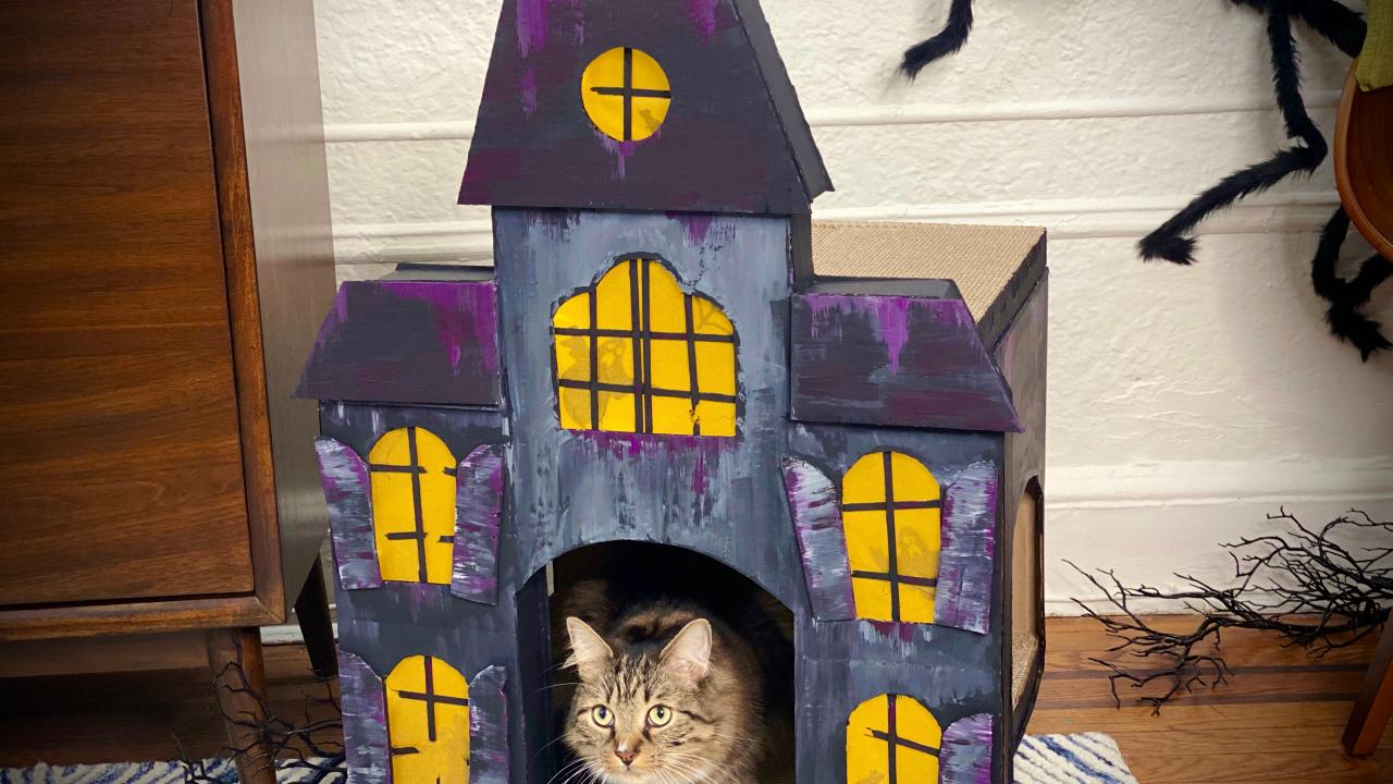 Light Up Haunted House for Your Cat Halloween DIYs for Pets