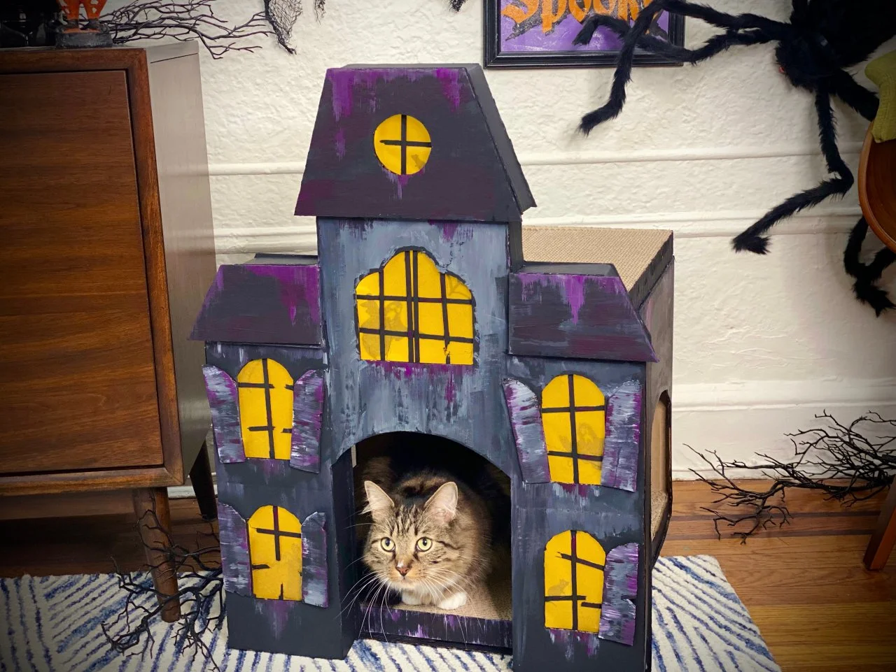 Cardboard cat haunted house clearance