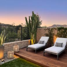 Plush Backyard Lounge Chairs and Desert Plants