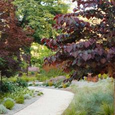 Drought-Tolerant Romantic Garden and Path