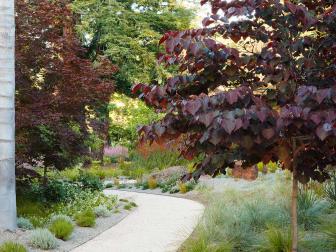 Drought-Tolerant Romantic Garden and Path