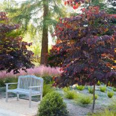 Wood Bench in Drought Tolerant Garden
