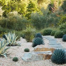 Drought Tolerant Garden With Stone Path