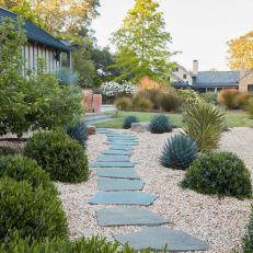 Low Water Garden With Stepping Stones