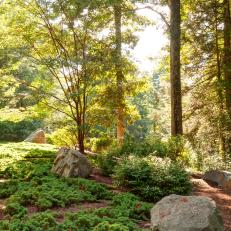 Woodland Garden With Big Boulders