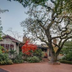 Red Brick Patio With Tall Tree