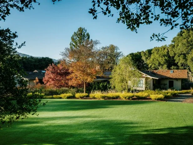 Front Yard With Grass 