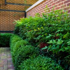 Hedge and Brick Walls