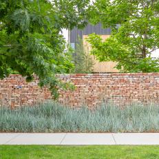 Brick Wall and Grasses