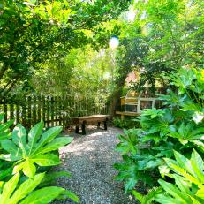 Garden With Rustic Bench