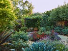 Backyard with Pergola and Plants