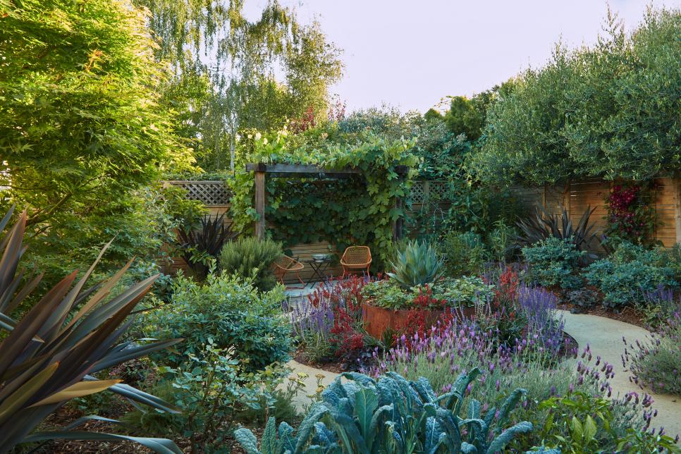 Backyard with Plants