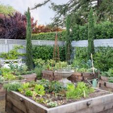 Raised Wood Vegetable Gardens