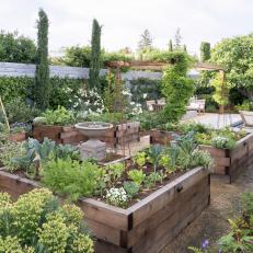 Backyard With Raised Vegetable Garden 