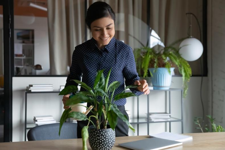 A young woman waters her houseplants.