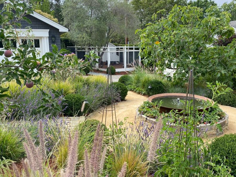 Garden and Chicken Coop