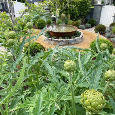 Outdoor Fountain Surrounded by Edible Plantings