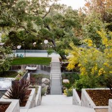 Terraced Backyard With Yellow Flowering Trees
