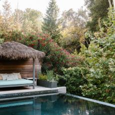 Pool and Palapa With Daybed