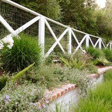 White Fence and Ornamental Grasses