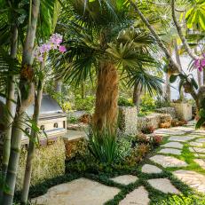 Walkway Lined with Tropical Plants