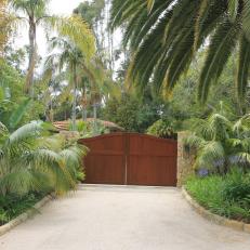 Closed Wood Gate and Palms