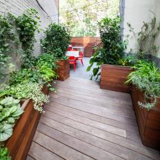 Deck With Ipe Wood Planters