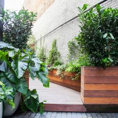Urban Deck With Container Gardens