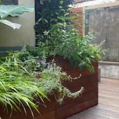 Container Gardens and Water Wall