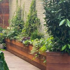 Container Garden in Wood Planters 