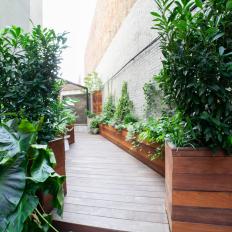 Deck Walkway With Container Gardens