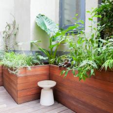 Container Garden and White Stool