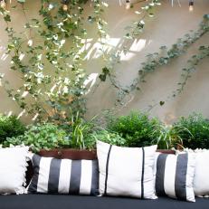 Ivy and Black and White Cushions