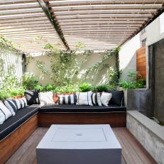 Urban Covered Patio With Ivy