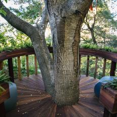 Deck Around Tree